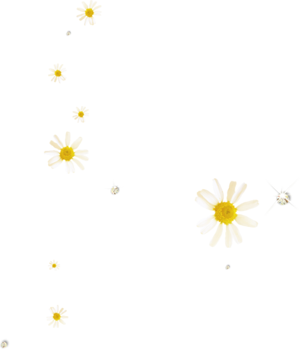 Fleurs en Farandole Série 10