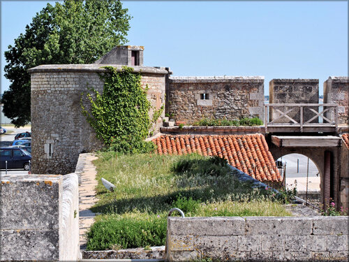 Photos de l'intérieur du Fort Vauban (Fouras)