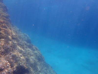 Payasage sous marin