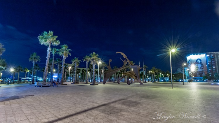Barcelone : Plages
