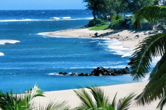 Balade Dans L'Île De La Reunion Voie Lactée Au-Dessus De L’Ile De La Réunion..