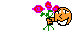offre fleur