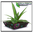 Potted Plants Set