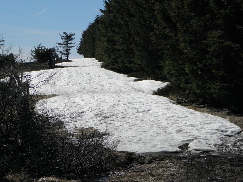 Promenade aux alentours du col des Supeyres