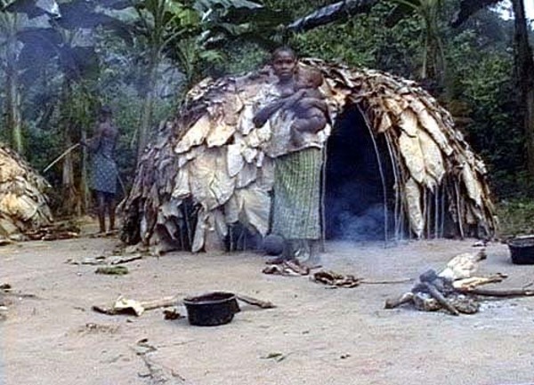 Histoire des hommes perdus : pygmées et andamanais Z4xfO_23DahIdNdqbKnU1MBmHQw@600x433