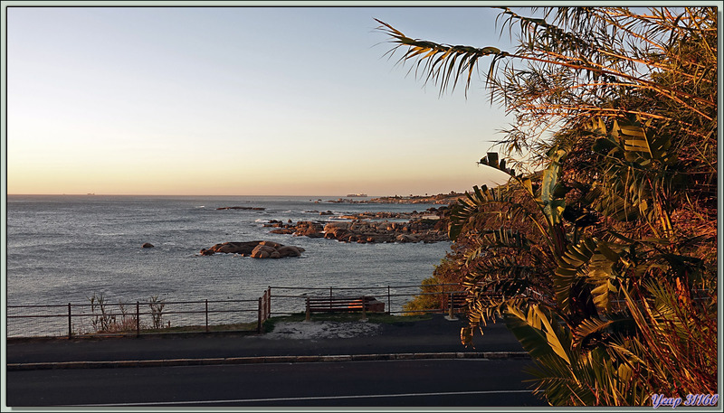 Epuisés par la longue marche sur tout le front de mer de Camps Bay, nous réintégrons notre chambre et profitons du paysage depuis son balcon - Le Cap - Afrique du Sud