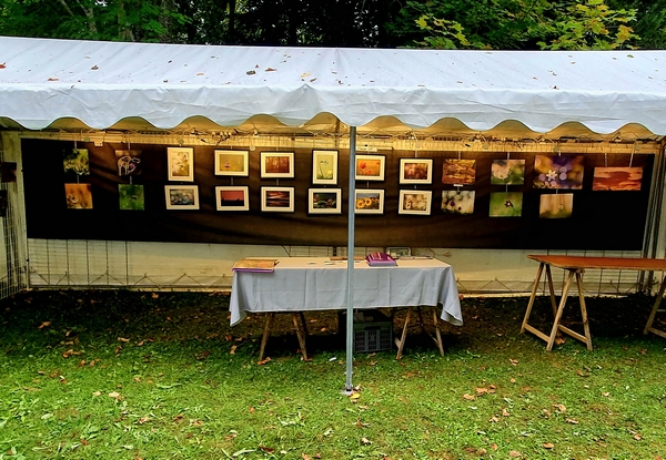 Une exposition de photographies aux Villas du Parc à Vanvey