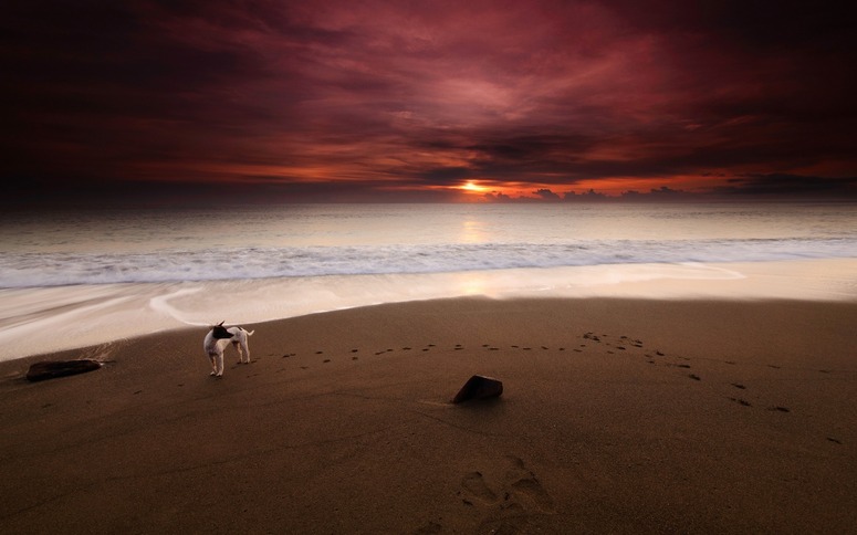 15 images de lever ou de coucher du soleil