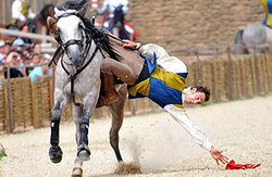 puy du fou