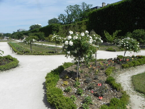 Jardin des Plantes Paris 