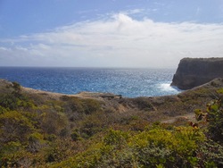 Balade " la trace des falaises" Anse Bertrand 