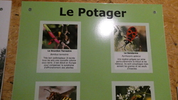 Presqu'en Creuse : la Cité des Insectes à Nedde