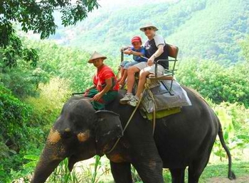 phuket-elephant-safari-photo_989927-fit468x296