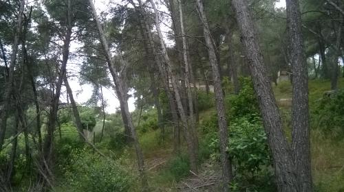 CABANON BUNKER EN SURPLOMB DES VOIES AUTOROUTIERES PENNES MIRABEAU