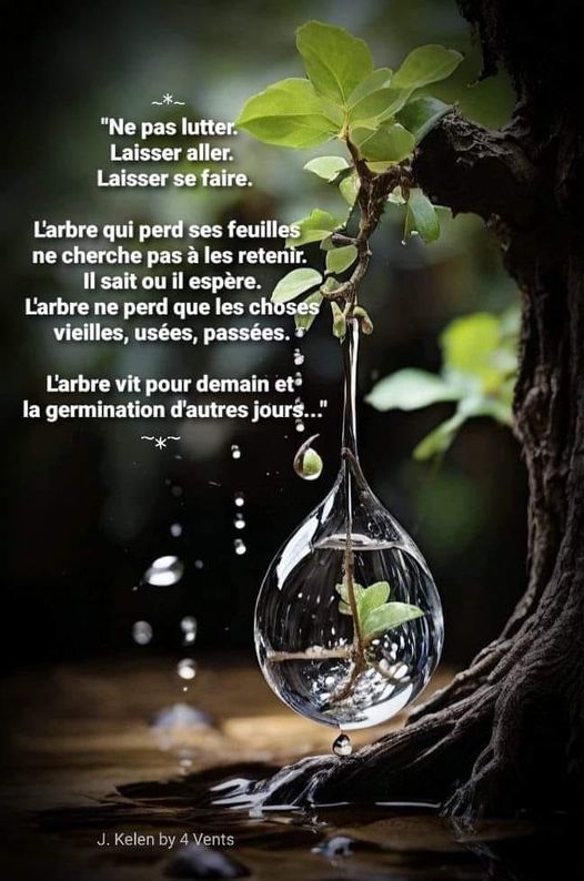 Peut être une image de texte