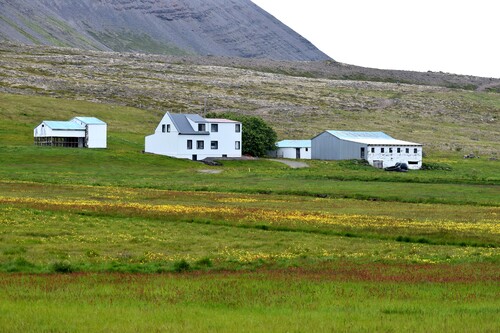 De Patreksfjörður à Hôtel Sandafell (Þingeyri)