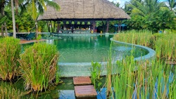 piscine Zen