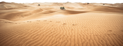 désert égyptien