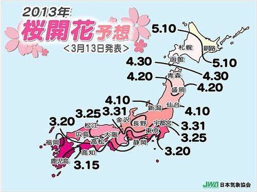 Début des cerisiers en fleur au Japon ...
