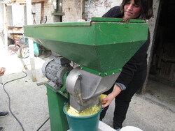 Sortie à l'institut agricole de Genech (4)