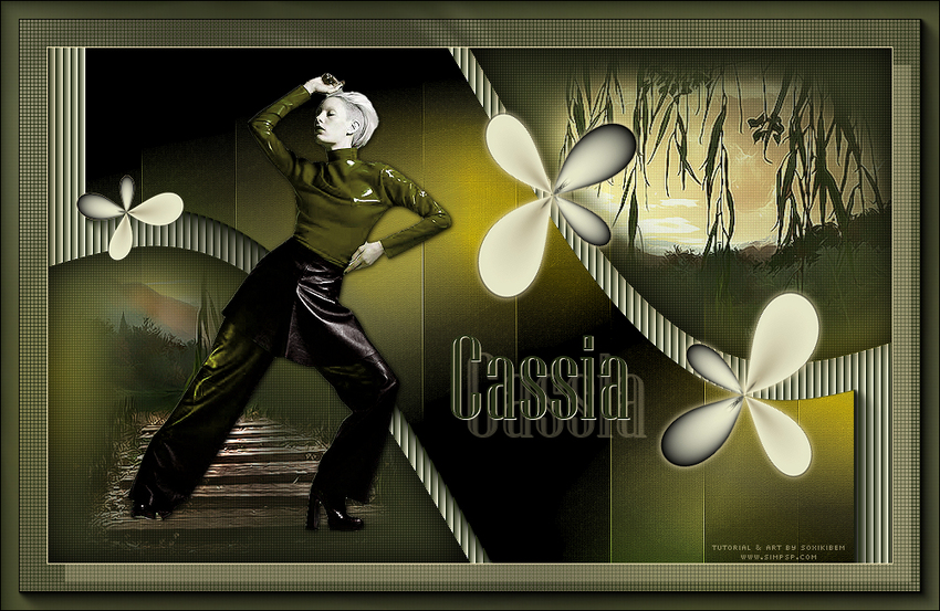 Cassia