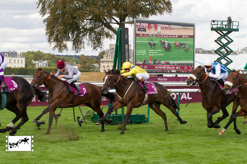 Qatar Prix Dollar