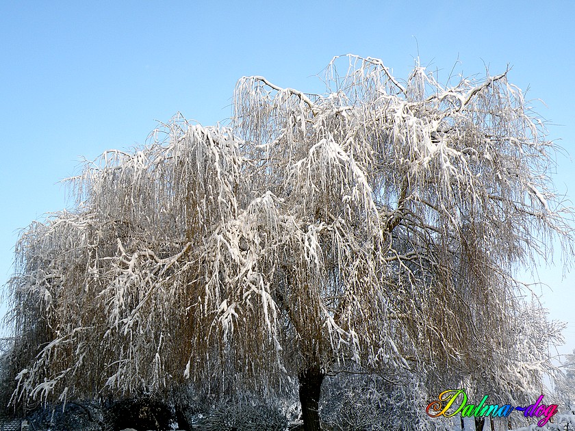 quand le soleil apparait sur la neige