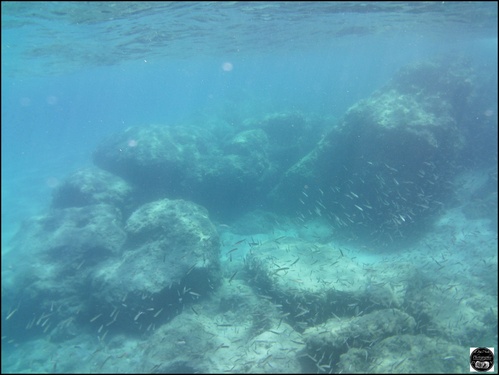 Grèce, vue sous-marine, de la mer Egée