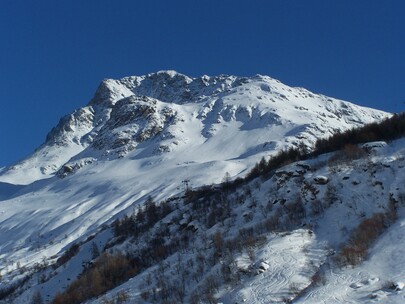 Ouille du Midi