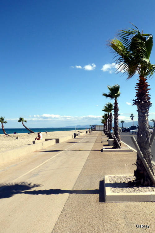 Le Barcarès : la plage aux palmiers !