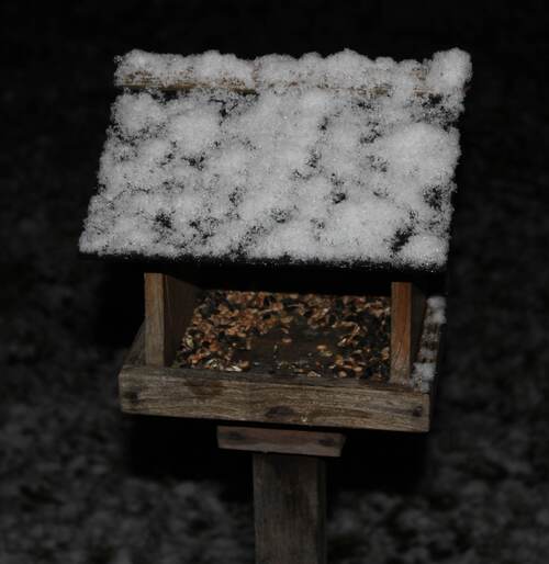 Petite neige d'un soir