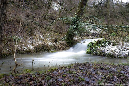 Un ruisseau en hiver ! - Saint jean de chevelu - savoie - Février 2019