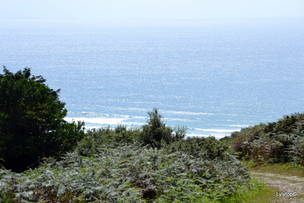 Sur la route des pieux