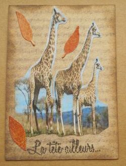 Echange d'ATC "Girafe"