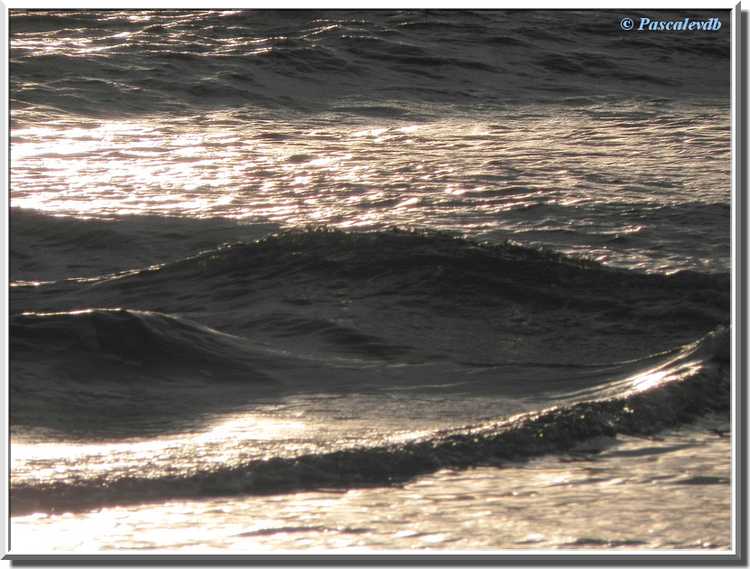 Plage du Cap Ferret