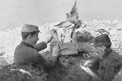 histoire de la communication