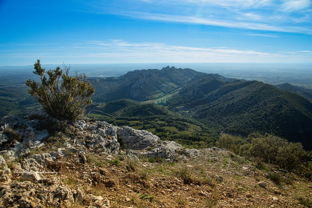 Les Dentelles de Montmirail