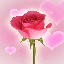 Poême "La Rose" avec une jolie cartonnette