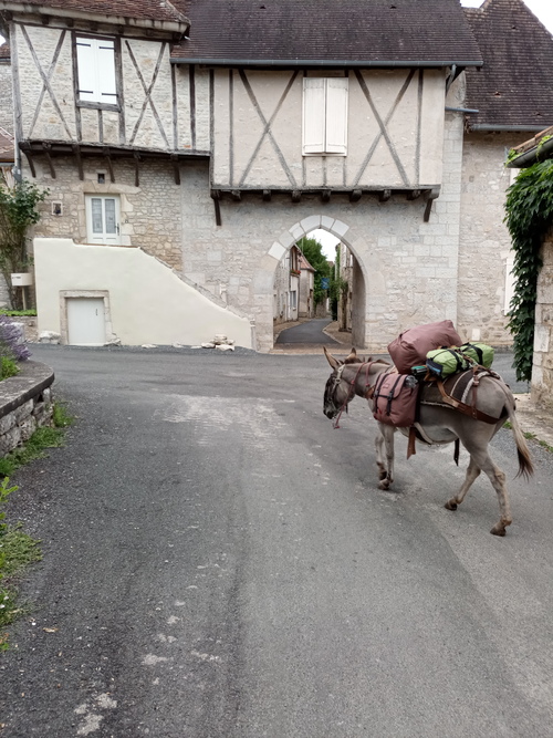 Les grandes oreilles en Corrèze ,jour 1