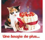 Anniversaire