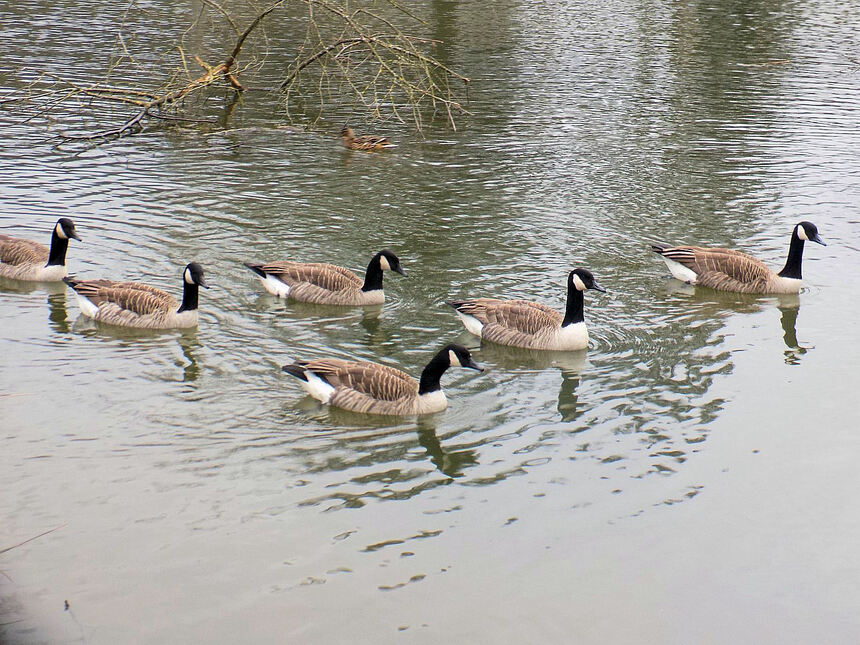 Au parc