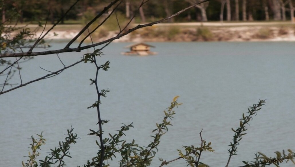   Une île ...