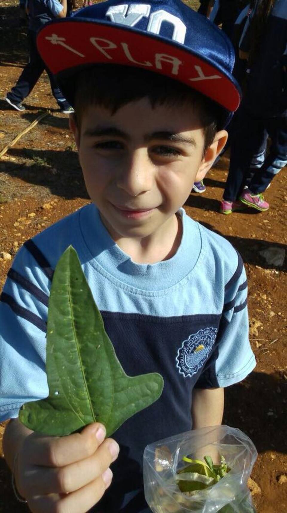 Observation des végétaux dans le parc de l'université de Balamand.