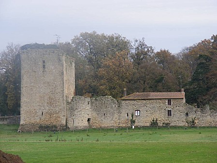 Château des Essarts