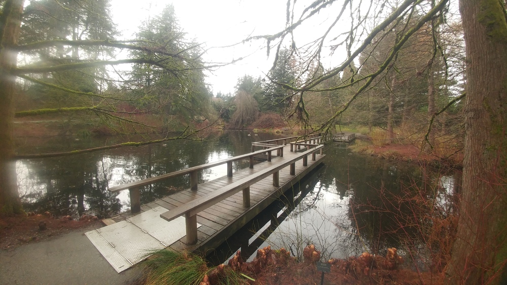 March Break in Vancouver: Sixth Day: Botanical Garden Coyote and Sports' Splendour