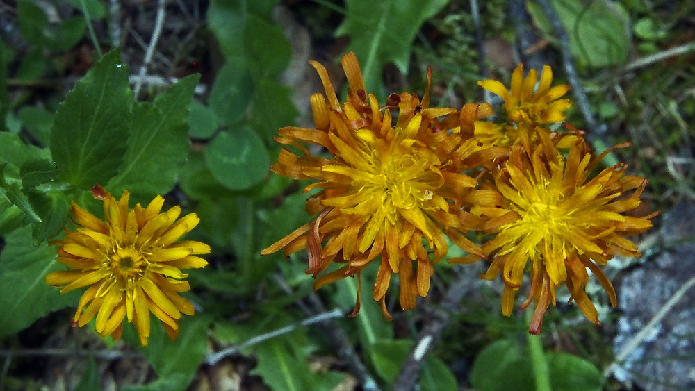 PHOTO DU JOUR mardi 13 février 2018