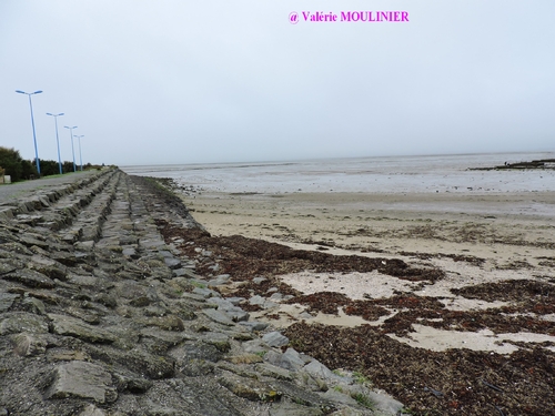 Noirmoutier : mes photos page 3