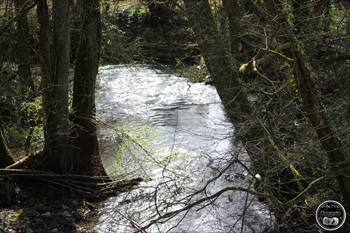 Longwe, le ruisseau