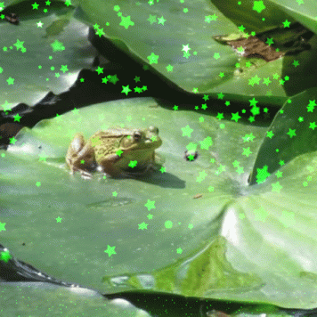 Dessin et peinture - vidéo 3340 : Comment peindre une grenouille sur un nénuphar ? - gouache et aquarelle.