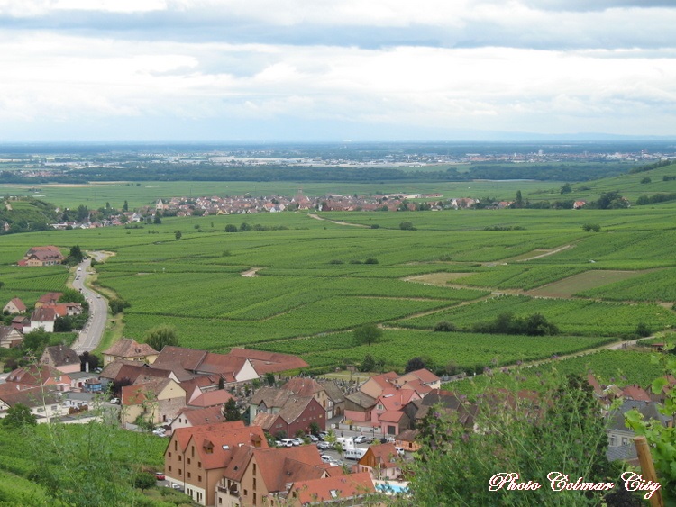 Riquewihr (68) : Balade au Schoenenbourg 2/2